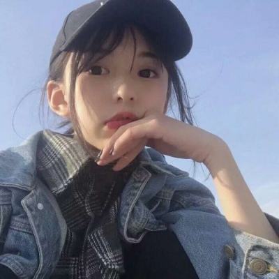 企鹅之岛官方版